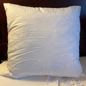 West Elm 20x20 feather filled pillow insert